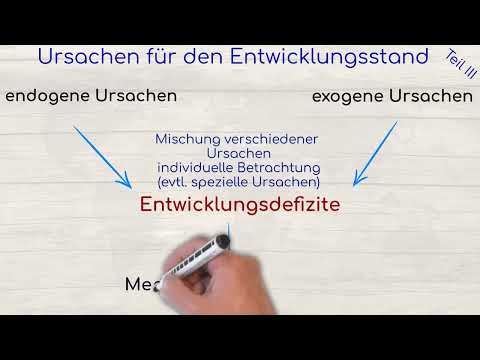 endogene vs. exogene Ursachen Entwicklungsdefizite III