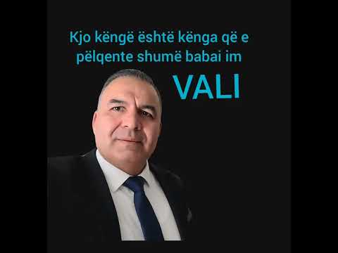 Ramazan Rrapushi - Vali (Official Audio 2026)