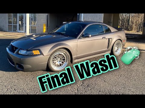 03 DSG SVT Cobra | Final Wash before Winter | Nice Day Cruise