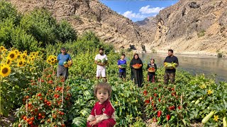 Download lagu 😱 They Grew All This on a River Island! | Nomadic Family’s Organic Harvest 🌿🍅 mp3