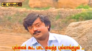 Download lagu புல்லைக் கூட பாட வைத்த புல்லாங்குழல் பாடல் | Pullai Kooda Paada song | Vijayakanth, Suhasini . mp3