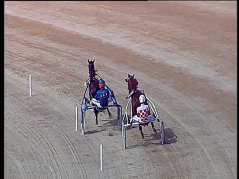 Trotto 23/06/2018 - 2ª prova di qualifica