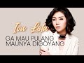 Iva Lola Gak Mau Pulang Maunya Digoyang Lirik