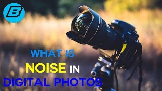 What is Noise In Digital Photography? And How to Reduce Noise In Photos!