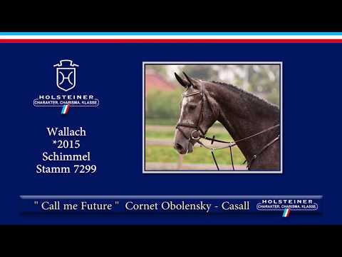 Holsteiner Elite-Reitpferdeauktion 2019 | Nr. 127 - Call me Future v. Cornet Obolensky-Casall