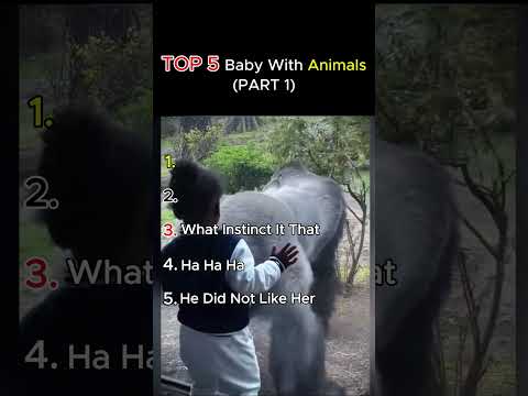 TOP 5 baby with animals PART 1 #ranking #funny