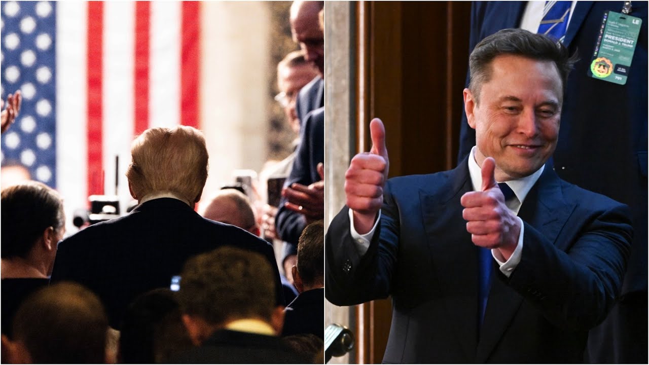 ‘Massive win for Trump’: President’s address to Congress ‘went off without a hitch’