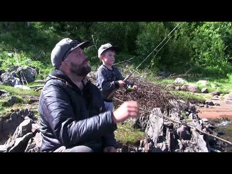 Kalakingi kalastaa Tornionjoella - Ahvenenkalastus - Hauenkalastus - Eumer Fishing