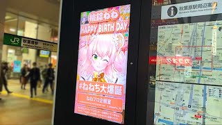 【JR秋葉原駅】桃鈴ねねちゃんお誕生日記念サイネージ広告【#ねねち大爆誕】