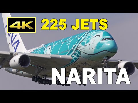 [4K] 6 hour 225 jets plane spotting at Tokyo Narita Airport 2023 from morning to night / 成田空港