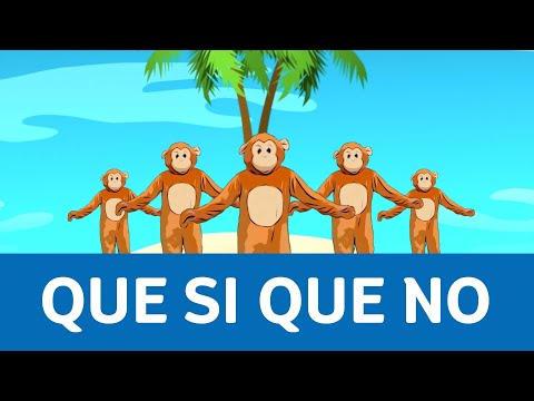 Que Si Que No - Jody Bernal | Disco & Co | @TUI SUNEO Entertainment
