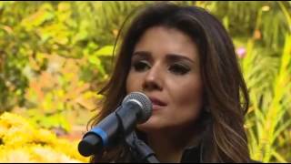 Pedaço De Chão Lyrics English Translation
