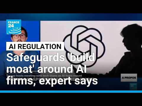 Safeguards 'build a moat' around US AI firms, prevent open-source models from advancing, expert says