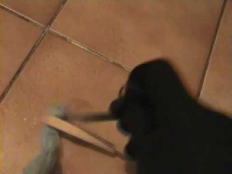 [extreme]Rituel_VOODOO REAL