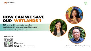 How can we save our wetlands?