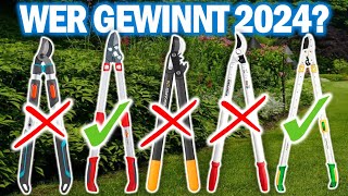 ASTSCHEREN: Die 5 Besten Modelle 2024!