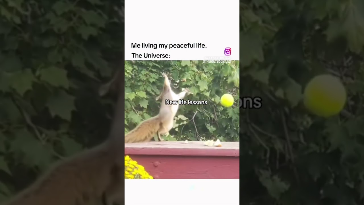 Not Everybody Loves Pickleball 😂