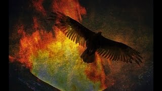 Art Of Trance - Firebird (Petar Dundov Remix)