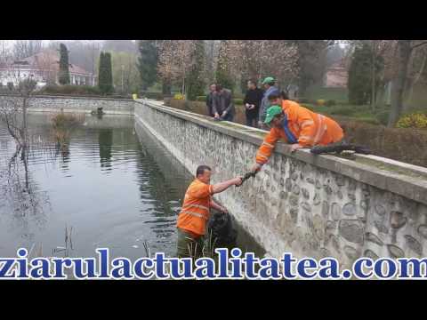 Lacul din Parcul Fantana lui Manole