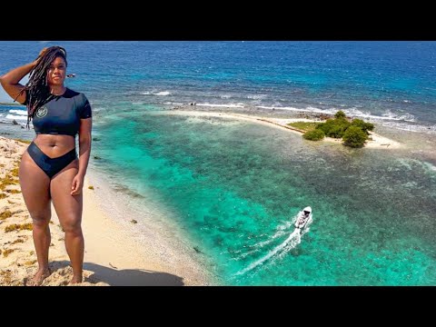 EXPLORING TINY REMOTE ISLAND - Spicy Curry Whelks Catch & Cook