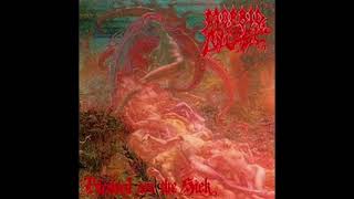 Morbid Angel : Thy kingdom come lyrics