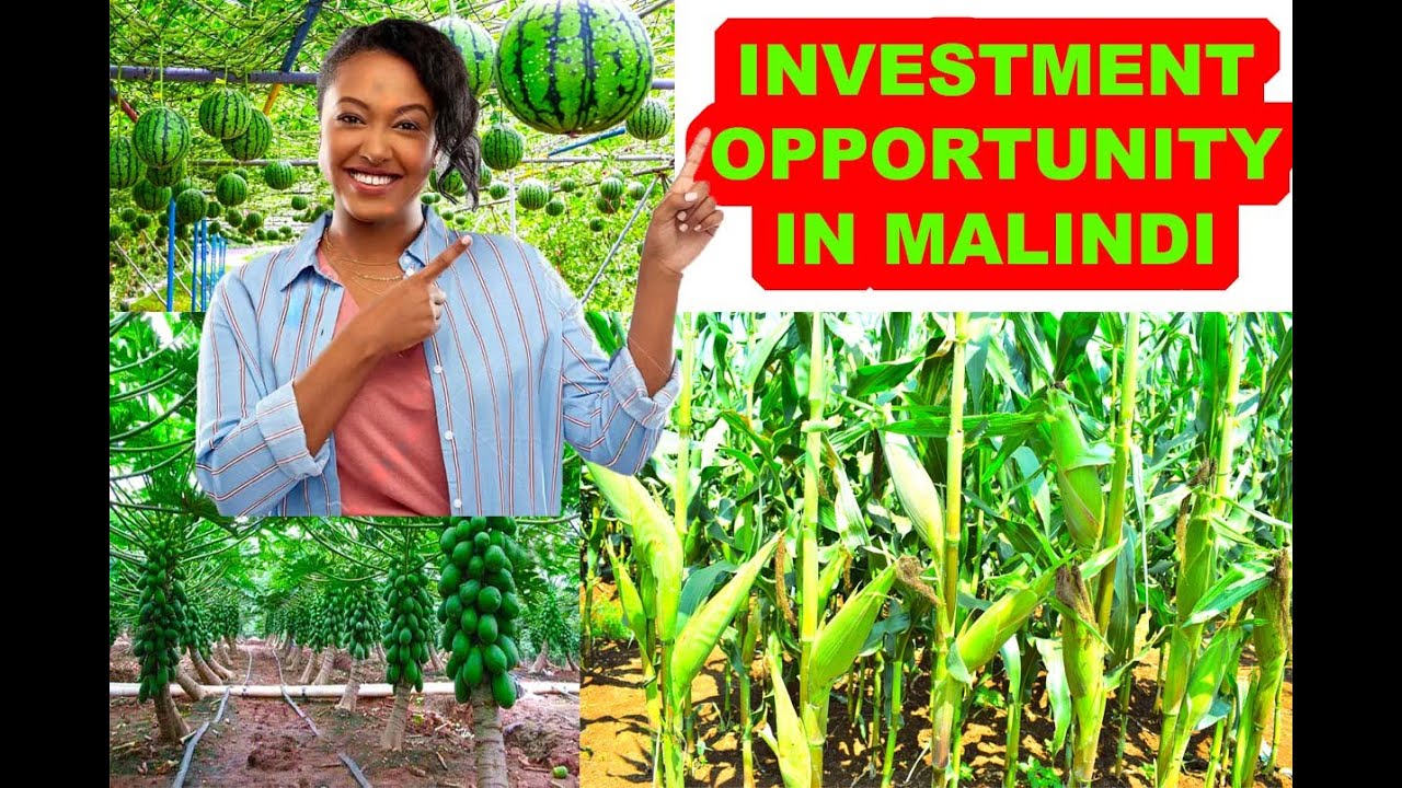 Garden Plot at KSh 600K