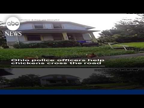 Officers help chickens cross the road