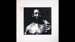 Muddy Waters - I Am The Blues