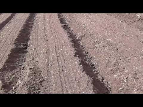 download lagu mp3 mp4 Encamadora, download mp3 Encamadora free download, download mp3 Encamadora