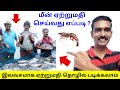How To Export Fish From India Fish Exports EXPORT BUSINESS TAMIL ExportImportBusinessinTamil