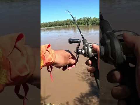 Pesca y Cocina LOS GOMEZ CHICO, Ríos Crecidos, Tucumán #Pesca #pescaycocina #fishing #fish #dorados