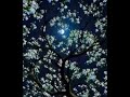 Sharad Sundar Chanderi Marathisong Newfemalestatus Ashabhosle Nature