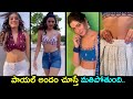 Actress Payal Rajput Looks Stunning In Photoshoot Payal Rajput Cute Videos Silver Screen