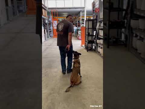 SPECTER K9 video.