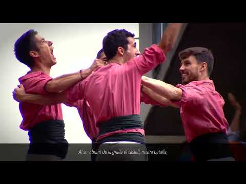 Himne de la Colla Vella dels Xiquets de Valls (Versió 2024)