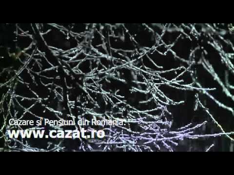 Cazare Turulung Vii, Satu Mare - Cazat.ro