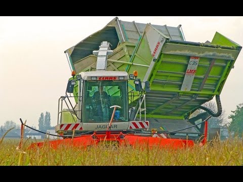 Claas Jaguar 900 Field Shuttle CSL - de Bruyne
