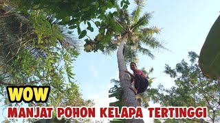 Download lagu Memanjat pohon Kelapa tertinggi ||Kampung Landeuh|| mp3 Download lagu Memanjat pohon Kelapa tertinggi ||Kampung Landeuh|| mp3