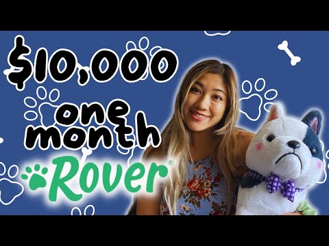 $10,000 IN ONE MONTH ON ROVER???  How much I made on ROVER dog sitting app! 2021| Full Time Rover