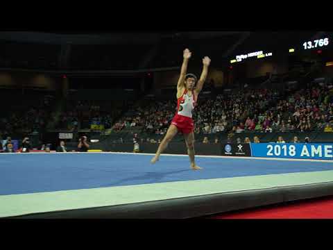 Kenzo Shirai (JPN) - Floor Exercise - 2018 American Cup