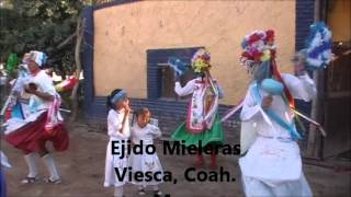 preview picture of video 'Danza de Pluma de Mieleras/La Perla, Coah.'