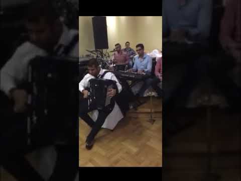 Lelo Nika Jr & Nenad Paunkovic & Sloba Paunkovic Pink Sala 2016