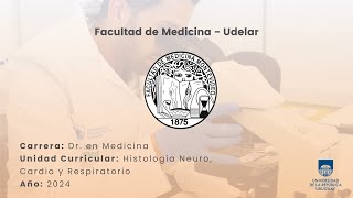 Enfermedad de Charcot-Marie-Tooth (CMT)