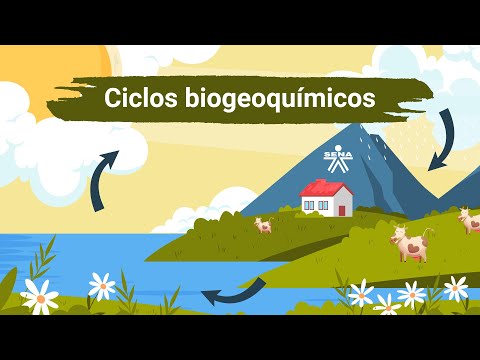 Ciclos biogeoquímicos