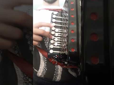 Lezione organetto: Polka del trillo