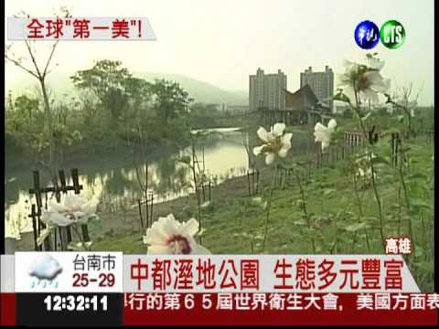 建築界奧斯卡! 中都溼地公園獲獎