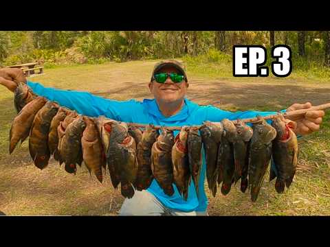 This Is Why You Fish Roadside Canals  (Ep. 3 Bear Island Everglades Camping and Fishing)