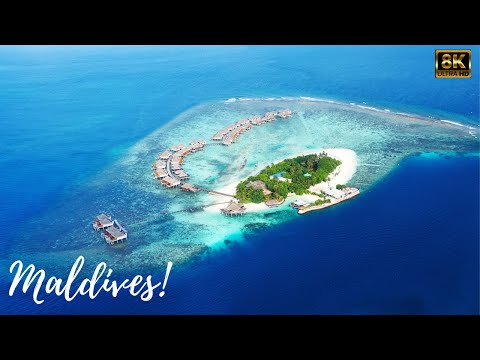 Flying over Maldives [8k video]