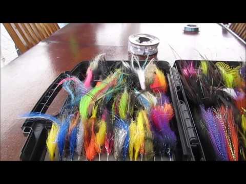 GOLDEN DORADO RIVER CRUISER PART 3