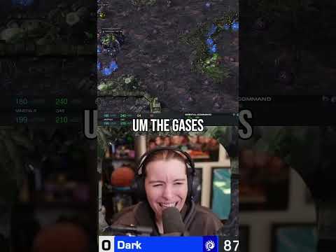 Dark Goes Muta Versus Cure! #starcraft